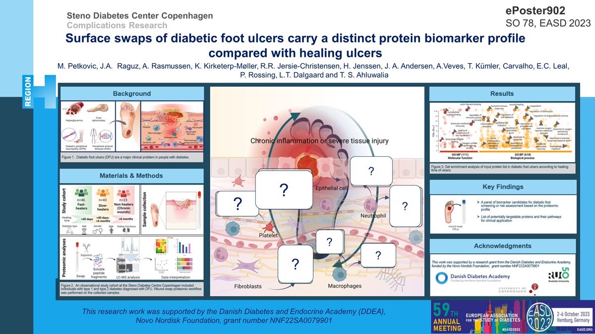 Tarunveer Singh Ahluwalia (@tsahluwalia) on Twitter photo Novel #Proteomics fingerprints for #DiabeticFoot healing...
Check details at #EASD2023 short oral ePOSTER 902, by <a href="/marijazpetkovic/">Marija Petkovic</a> <a href="/Stenodiabetes/">Steno Diabetes Center Copenhagen</a> in the SO78 #Biomarekrs & #RiskFactors of DiabeticFoot session.
<a href="/EASDnews/">EASD</a> <a href="/DDEA_Denmark/">Danish Diabetes and Endocrine Academy</a> <a href="/AnneRas51779886/">Anne Rasmussen</a>
<a href="/LouiseDalgaard5/">Louise Dalgaard</a> <a href="/P_Rossing/">Peter Rossing</a> Novel #Proteomics fingerprints for #DiabeticFoot healing...
Check details at #EASD2023 short oral ePOSTER 902, by <a href="/marijazpetkovic/">Marija Petkovic</a> <a href="/Stenodiabetes/">Steno Diabetes Center Copenhagen</a> in the SO78 #Biomarekrs & #RiskFactors of DiabeticFoot session.
<a href="/EASDnews/">EASD</a> <a href="/DDEA_Denmark/">Danish Diabetes and Endocrine Academy</a> <a href="/AnneRas51779886/">Anne Rasmussen</a>
<a href="/LouiseDalgaard5/">Louise Dalgaard</a> <a href="/P_Rossing/">Peter Rossing</a>