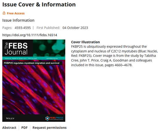 Congrats to @CreeTabitha, Prof John T. Price, the CMR's @CraigAGoodman1 and Team for having their image of FKBP25 stained myotubes selected for the front cover of the latest issue of The FEBS Journal. 
@CaraTimpani @EmmaRybalka
@MCRI_for_kids
@iHealthSportVU
@AIMSSresearch
