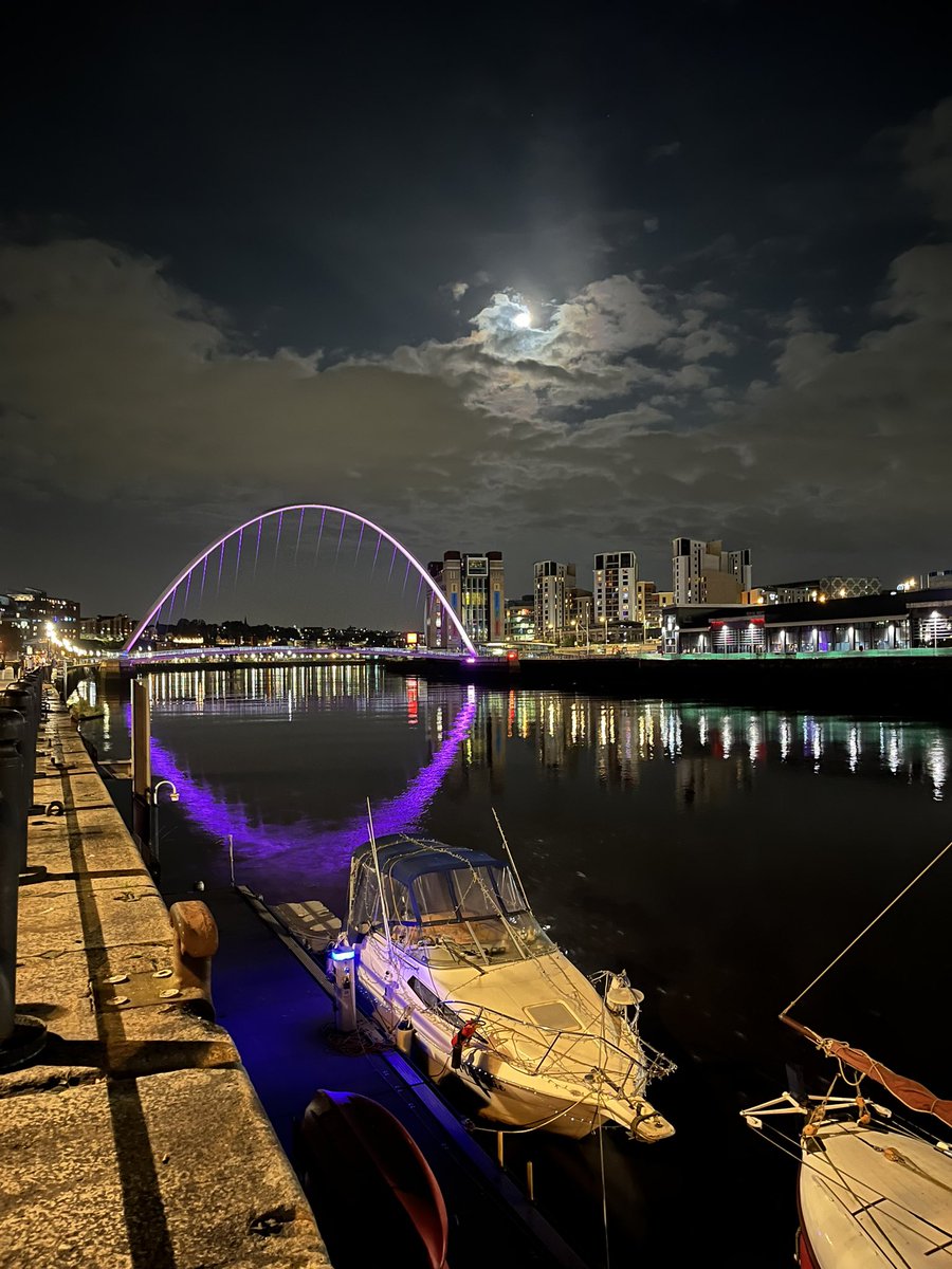 Elisa Pastorio tweet media