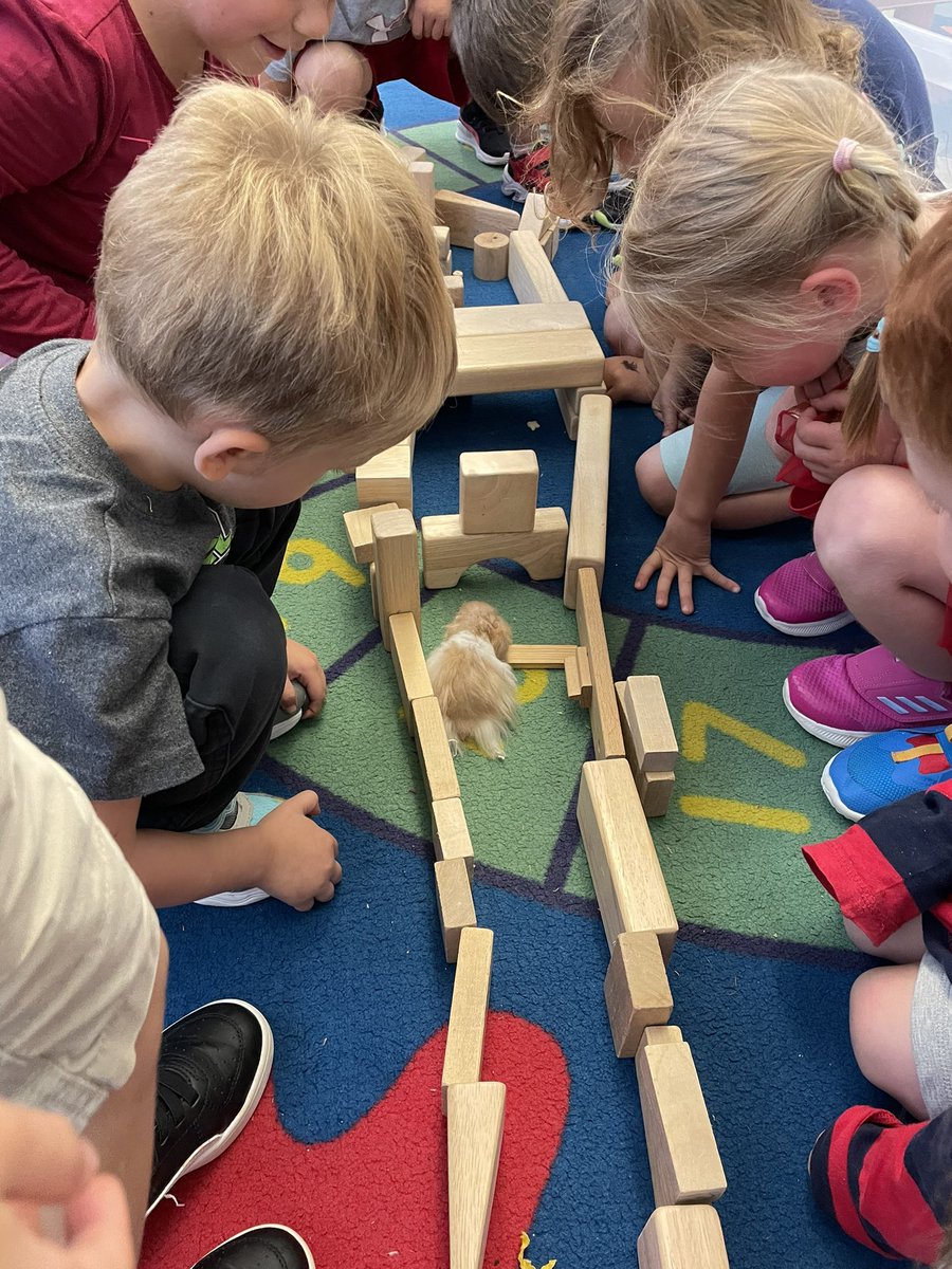 The mazes keep getting better! <a href="/St_Peter_CES/">St. Peter Trenton</a> Shaggy also enjoys the treats along the way 🐹