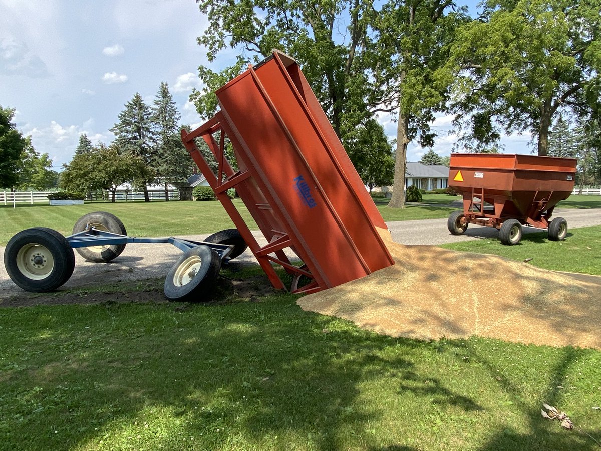 girl_agronomist's tweet photo. After having a wonderful experience during wheat harvest this summer, you would be amazed how many times my mind has convinced me I’ve done it again already on day 2 of #harvest23 #psychout https://t.co/VkbYjq4vdf