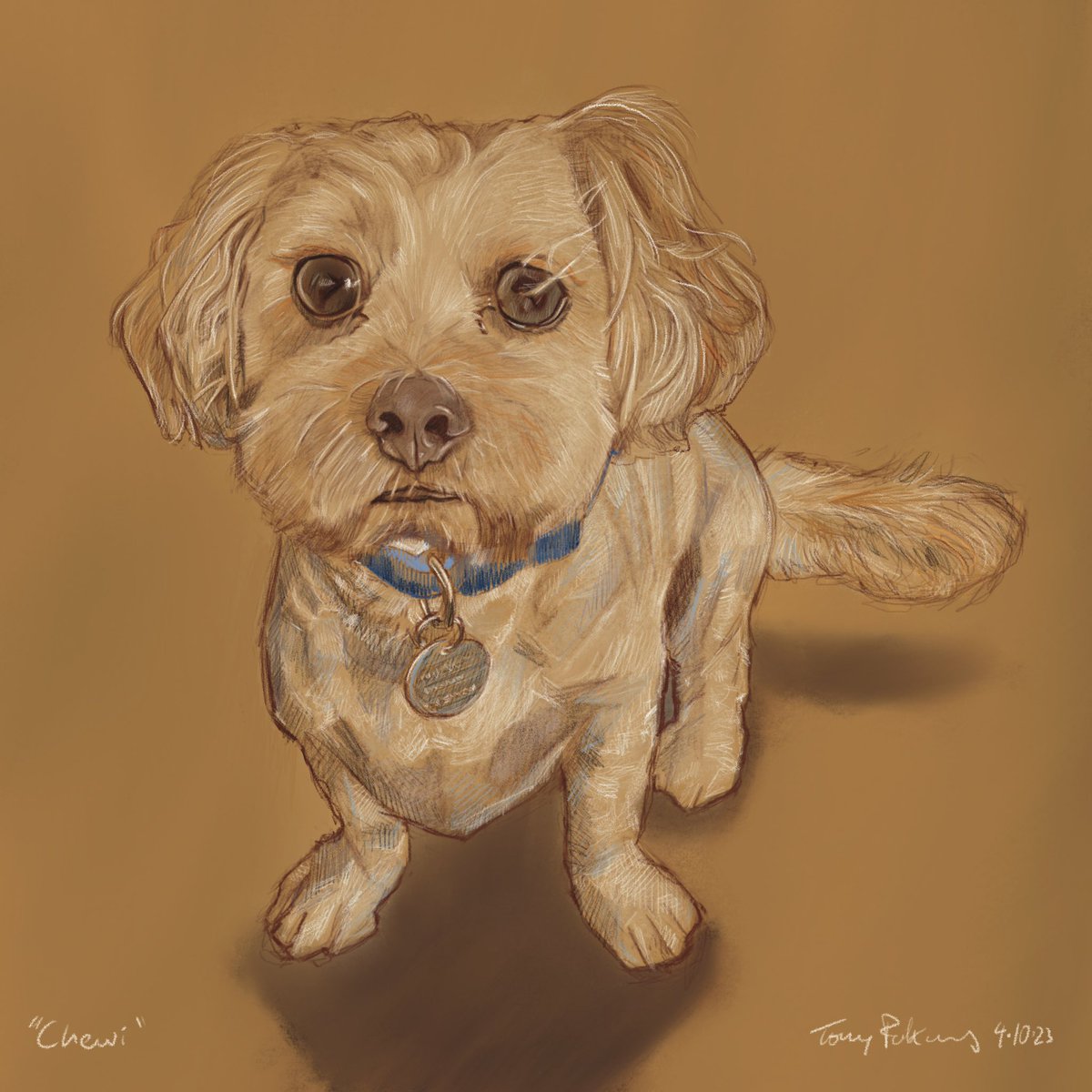 mrpickers's tweet photo. “Chewi” Finally got round to a colour #petportrait of Chewi. I have some space available before Christmas if anyone is thinking about presents - just DM for details. #chewi #newpet #dog #illustration #digitalart #art #petart #dogsofinstagram #christmasinspiration https://t.co/7GOAQVvQQm