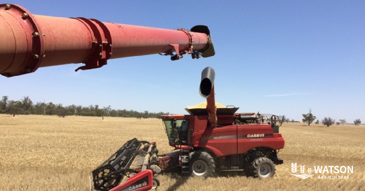 Prepare for the upcoming harvest season by securing your #gypsum &amp; lime orders now with #WatsonAgriculture. 

Call 03 5884 3606 to order and you can also find valuable blending tips in our blog post:
watsonagriculture.com.au/how-to-success…