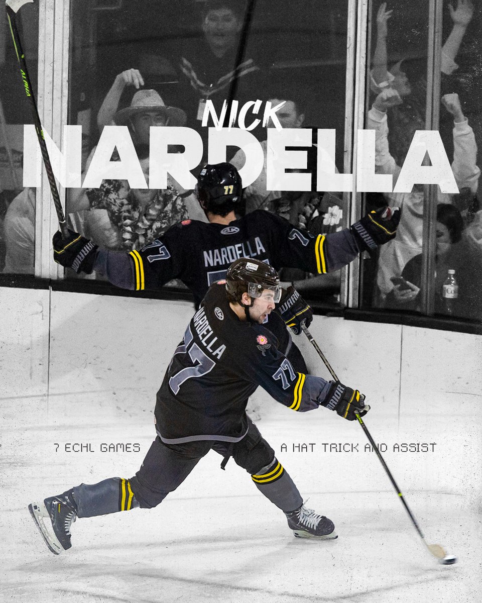 Idaho Steelheads tweet media