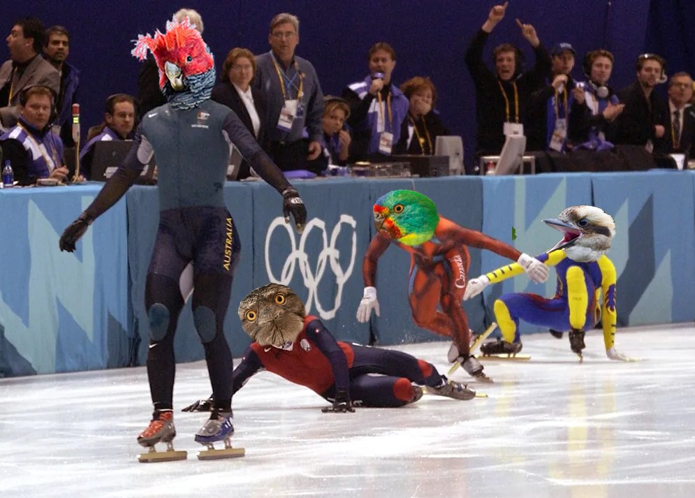 Grassland Films tweet media