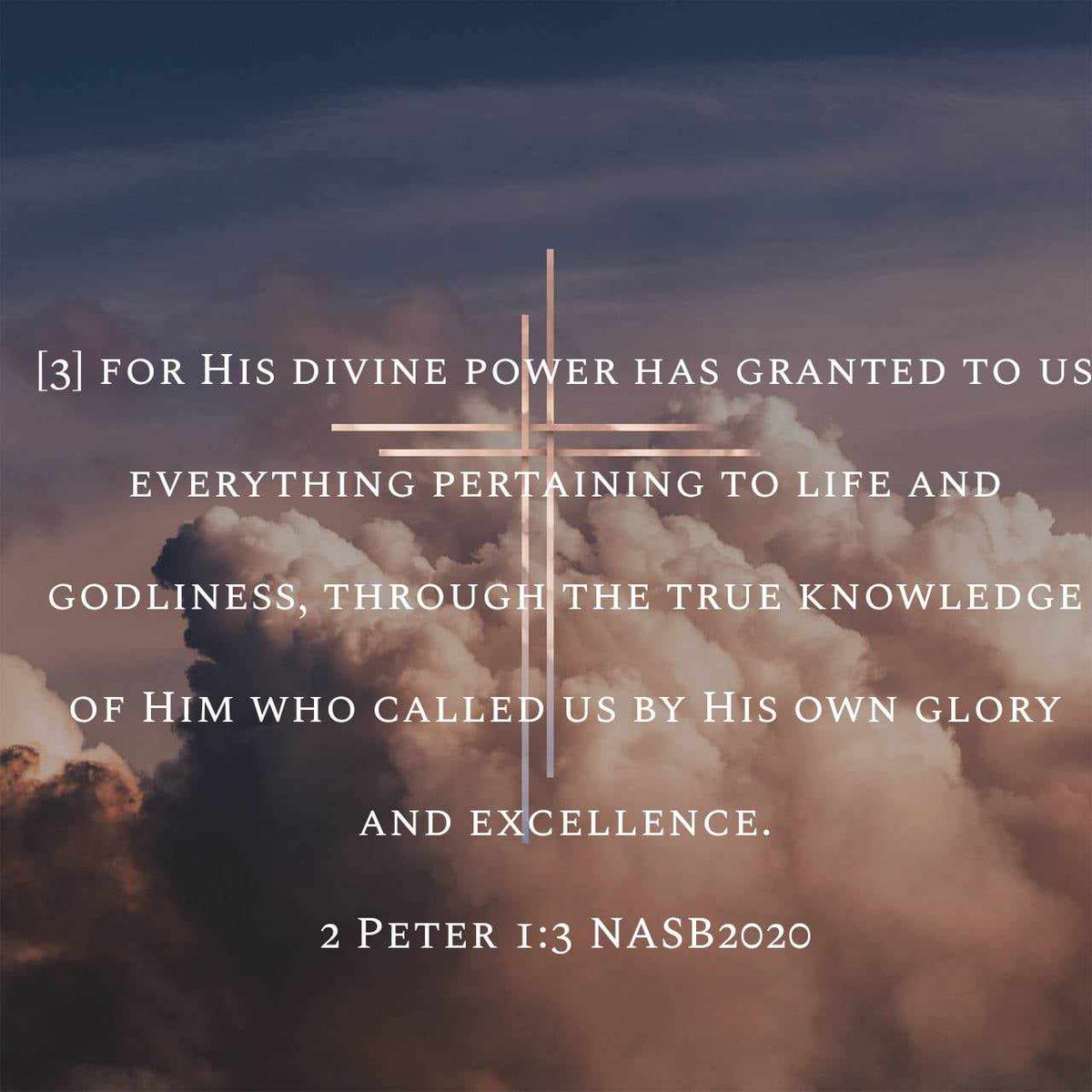 👨‍👩‍👧Mamu Thess tweet media