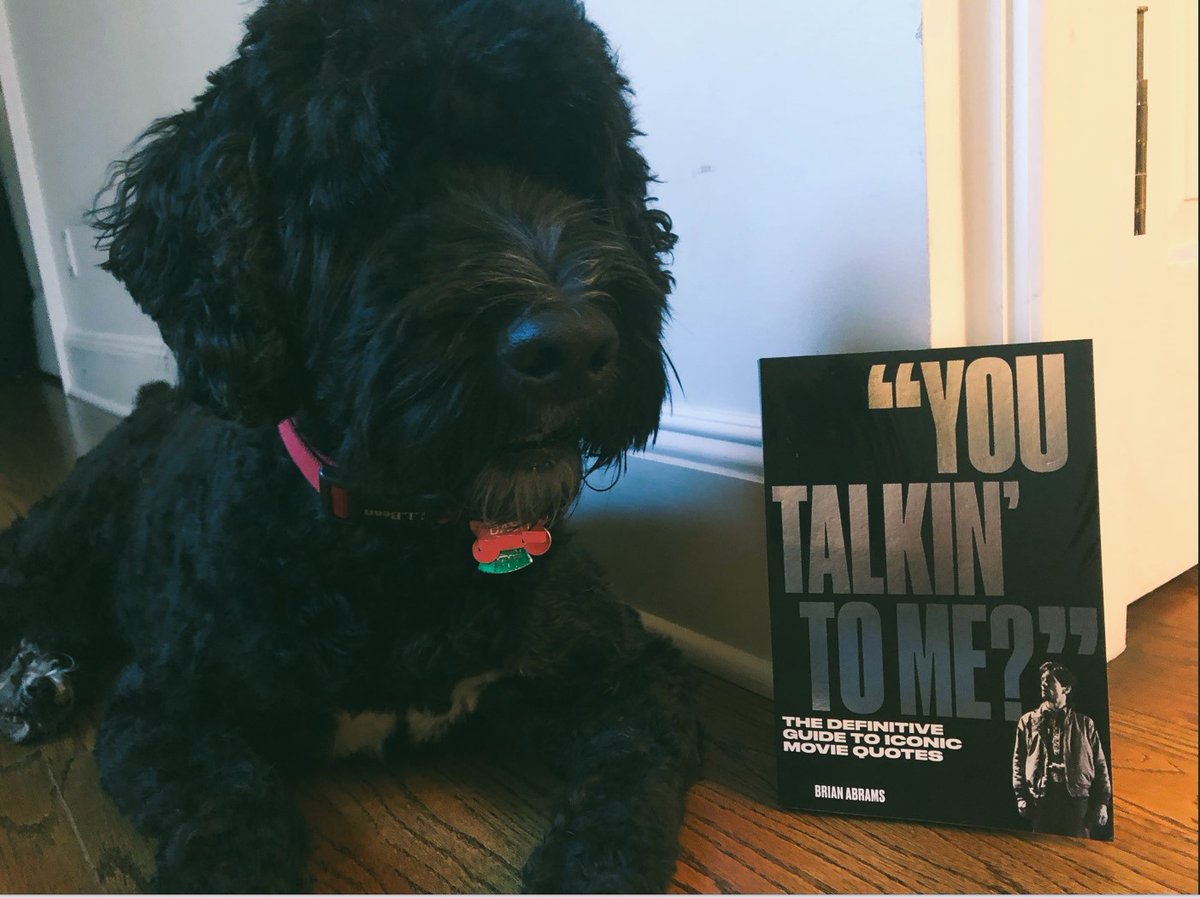 Finally received my copy of @BrianAbrams' fascinating and fiercely well-researched book about movie quotes. Highly recommend this one. Dog for scale.