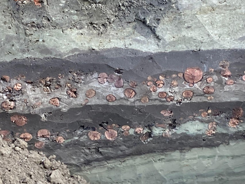 DeArcheoloog's tweet image. Tijdens werkzaamheden in het centrum van het Belgische #Lier is een houten #fundering ontdekt van een #middeleeuwse voet- en #karrenweg. Deze dateert mogelijk uit de 14e eeuw.
nieuwsblad.be/cnt/dmf2023100…