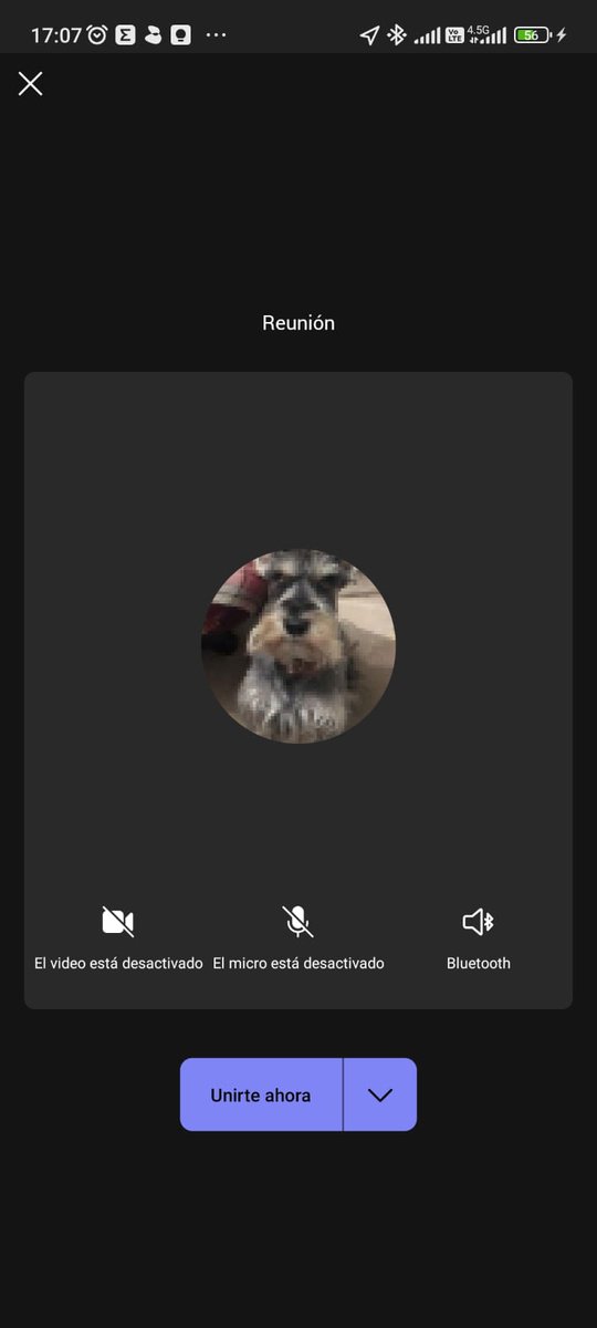 postigo_ale's tweet photo. Morí de amor con el Simba en la foto de perfil del correo de mi papá. https://t.co/Vs93UmKIux