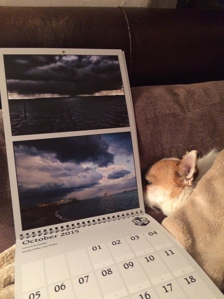 2015 photo achievement - top one is mine 💗