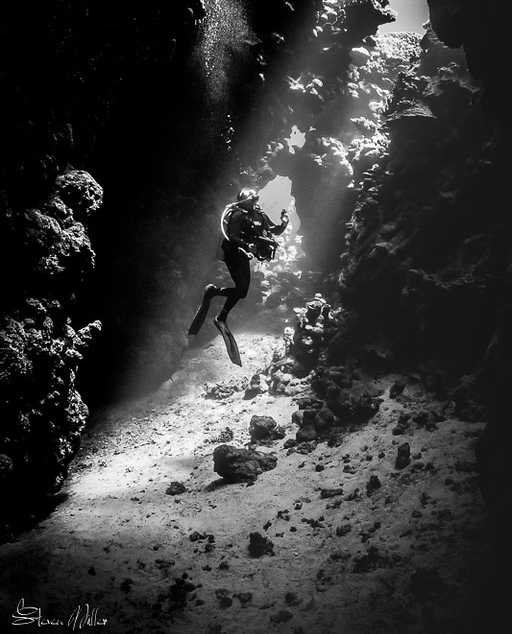 What's this diver looking at? Wrong answers only. 📸 Steve Miller 📍 Red Sea #uwphoto #monochrome #ikelite #redsea #scuba
