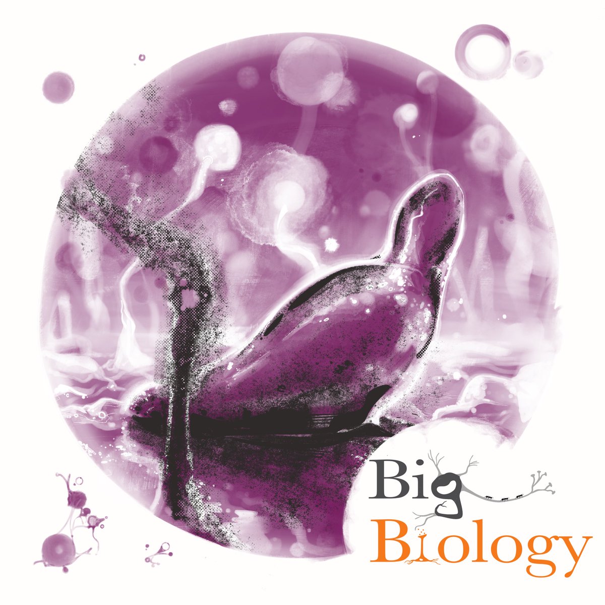 How can we reconcile the evolutionary problem of cooperation? What can social amoebae tell us about the origins of multicellularity?✨

Find out next episode where we talk to Joan Strassmann &amp; David Queller about the evolution of cooperation and conflict!🎙️

🎨 Art by <a href="/KorionArt/">Keating S</a>