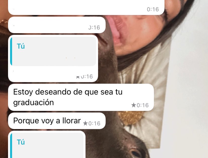 Supongo que yo ya he ganado 🥹