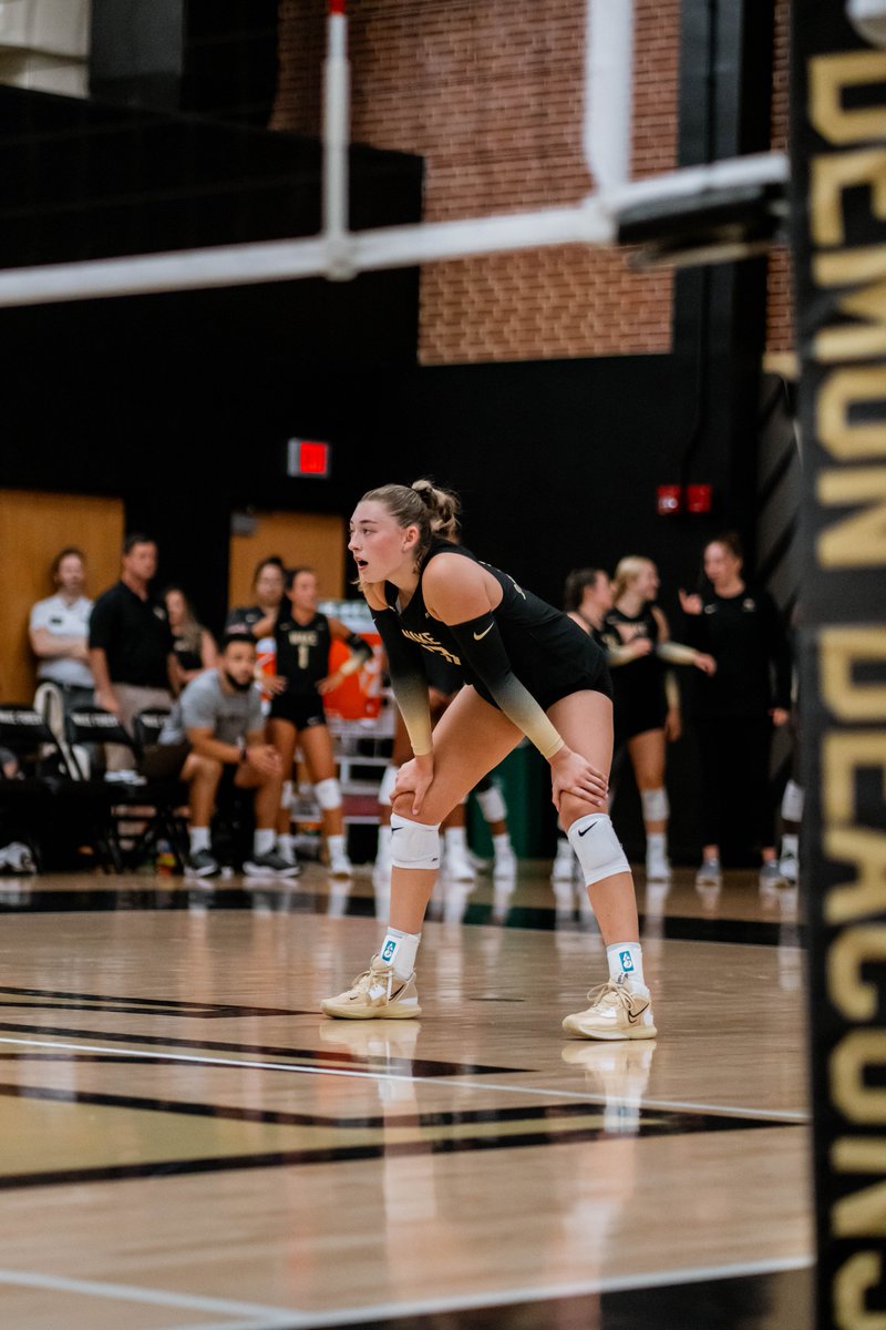 WakeVolleyball's tweet image. 𝗗𝗶𝗱 𝗬𝗼𝘂 𝗞𝗻𝗼𝘄?

🖐️ of our own are ranked across the league within top-10 individual categories:

‣ Dior -- 6⃣th in blocks
‣ Rian -- 7⃣th in assists
‣ Paige -- 8⃣th in kills
‣ Emma -- 🔟th in digs
‣ Franke -- 🔟th in hitting %

#GoDeacs 🎩🏐 | @theACC