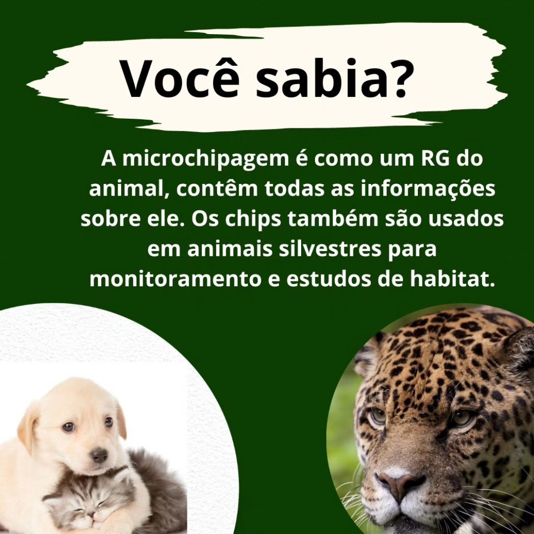 EloDigitalRede's tweet photo. Hoje, dia 4 de outubro, é o Dia dos Animais. Dia de comemorar , mas também de olhar para o futuro, para a preservação e para os cuidados .
Com várias espécies ameaçadas , a tecnologia tem se mostrado uma aliada importante para a conservação de espécies da fauna brasileira. https://t.co/NCc5mP9o7s