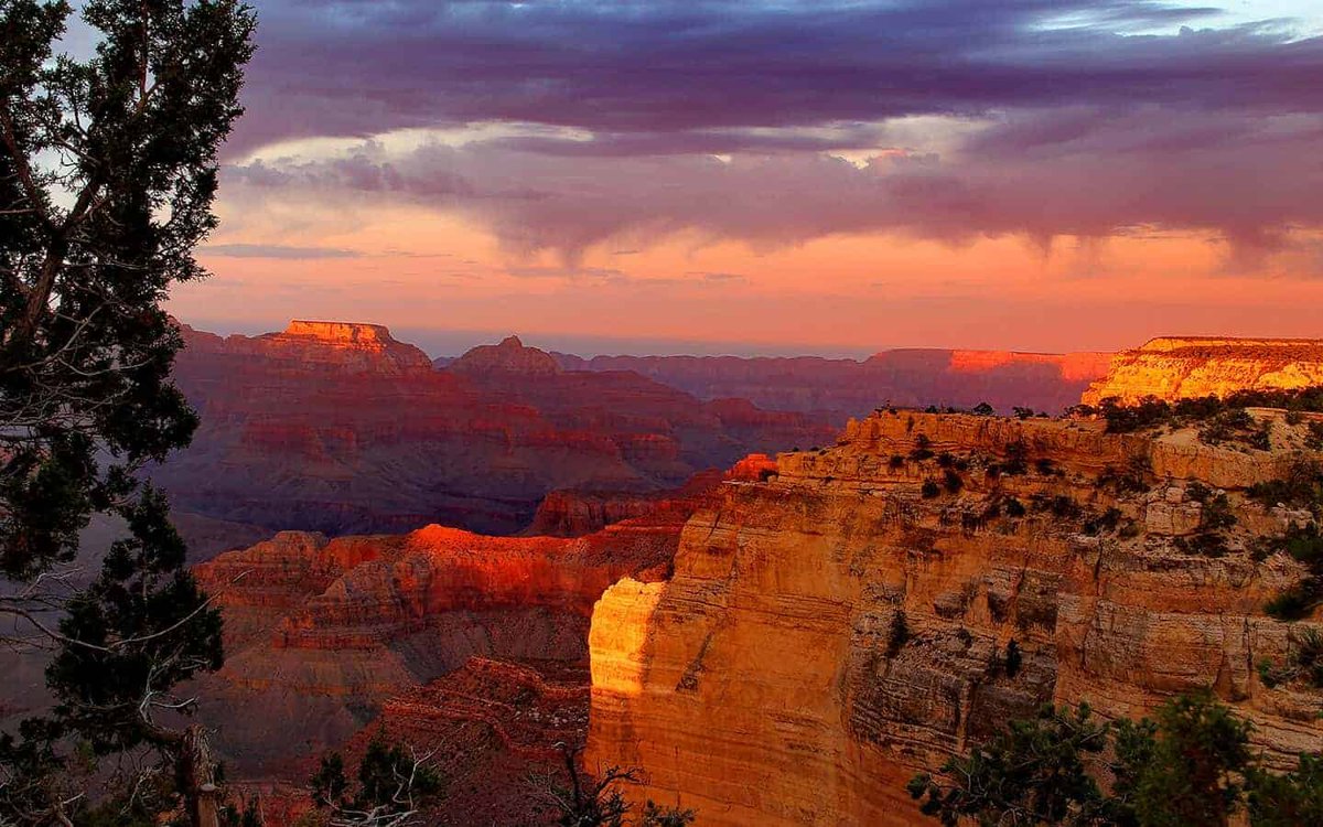 123aaa ❤️ Memecoin tweet media