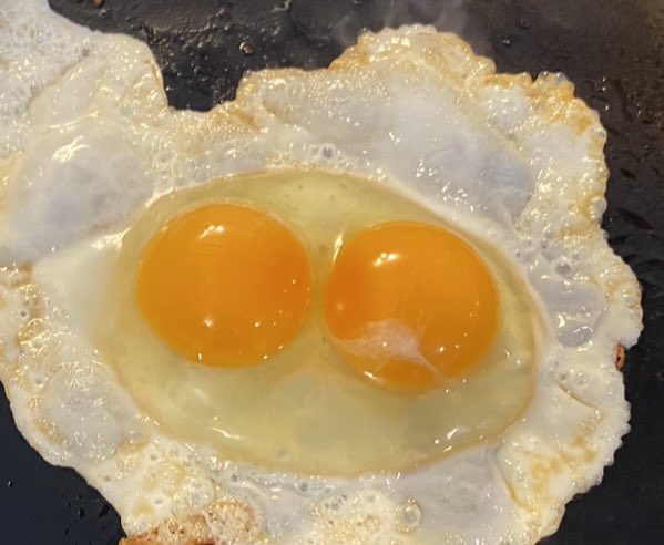 Nicole Melanson tweet media