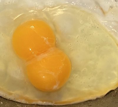 Nicole Melanson tweet media