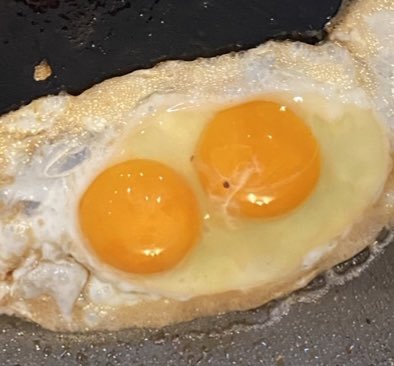 Nicole Melanson tweet media