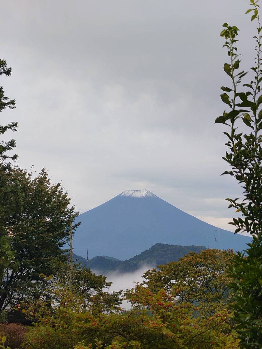 mayu79176347's tweet image. 大好きな　#富士山　🗻
友達から初雪の写真が届きました😊山梨大好き💕

今日も頑張っていきましょう😊奇跡起きますね🌠