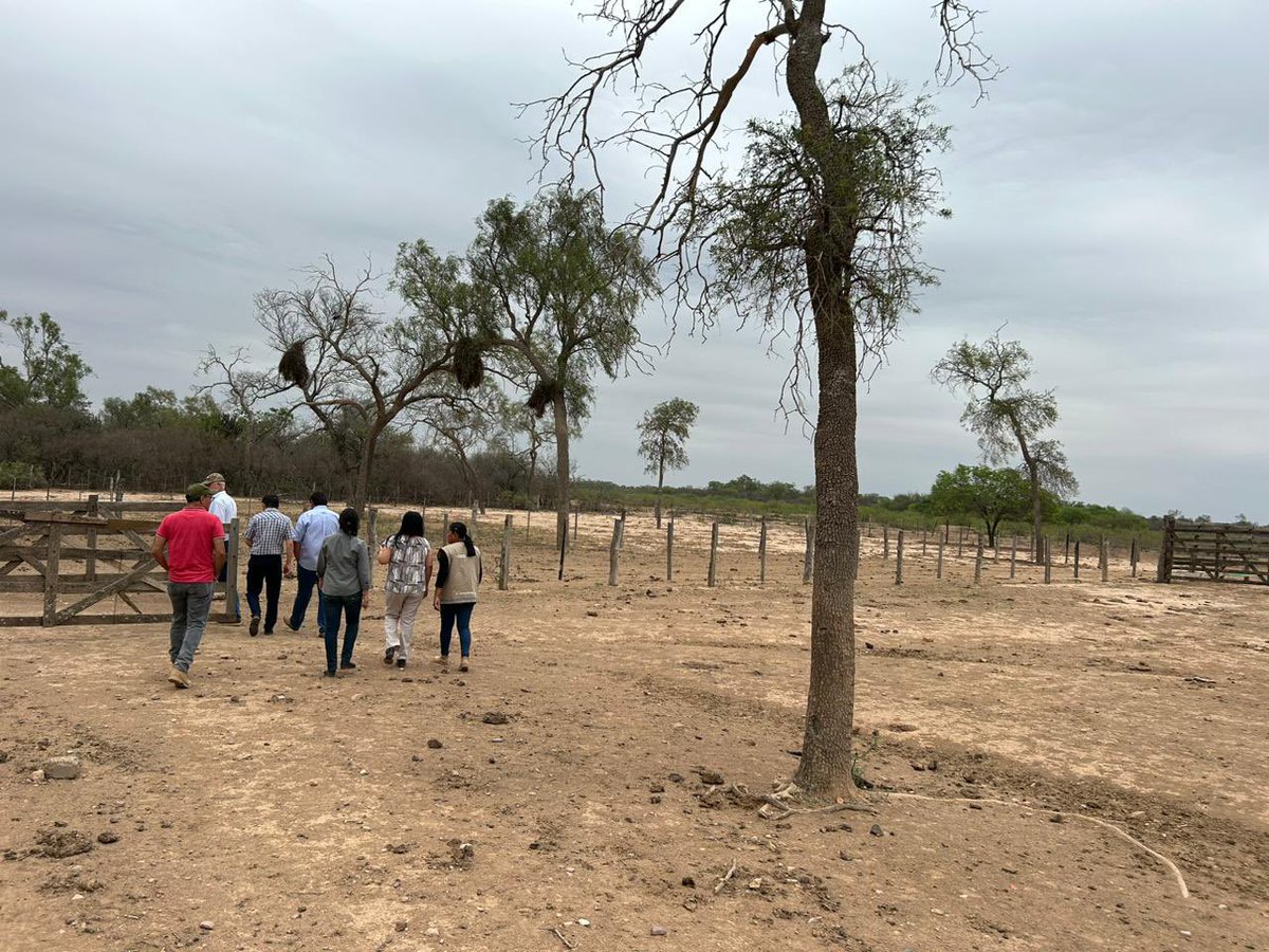 GBoqueron's tweet photo. Por instrucciones del Sr Gobernador Harold Bergen, el día de hoy se realizó la presentación oficial del nuevo Director General de la Escuela Agrícola de Mariscal Estigarribia, el agrónomo Adalberto Martínez; y de la nueva Directora Administrativa, la ingeniera ambiental Ada Ayala https://t.co/UnKn8x1aOO