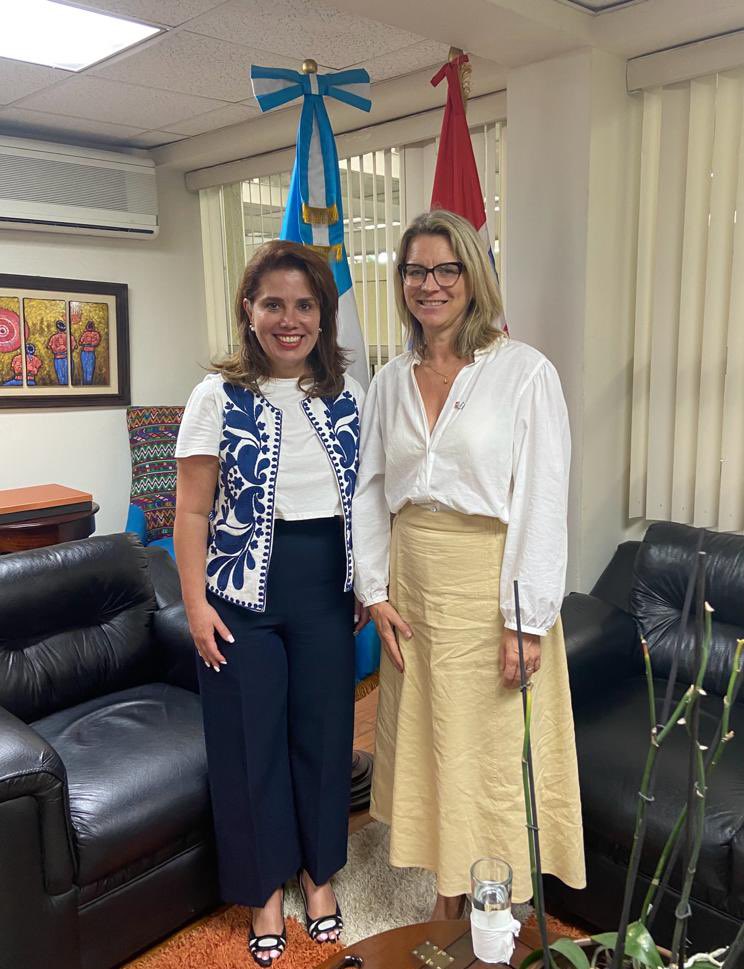 El pueblo de Noruega 🇳🇴 tiene un compromiso histórico con el pueblo de #Guatemala 🇬🇹. Hoy platiqué con la #ViceCancillerGT Karla Gabriela Samayoa Recari  @MinexGt sobre la importancia de una transición de gobierno ordenada y democrática, respetando el voto popular. 
🇳🇴🤝🇬🇹