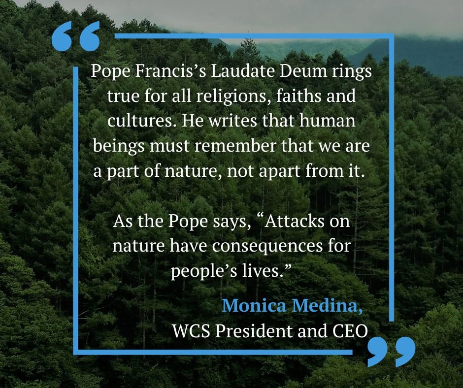 We welcomed the #LaudateDeum from @Pontifex today. His focus on protecting biodiversity for people and nature is our number 1 job. 
See statement from WCS’s President and CEO @MonicaMedinaDC:  bit.ly/3tlzU1V #ClimateCrisis #ForNature