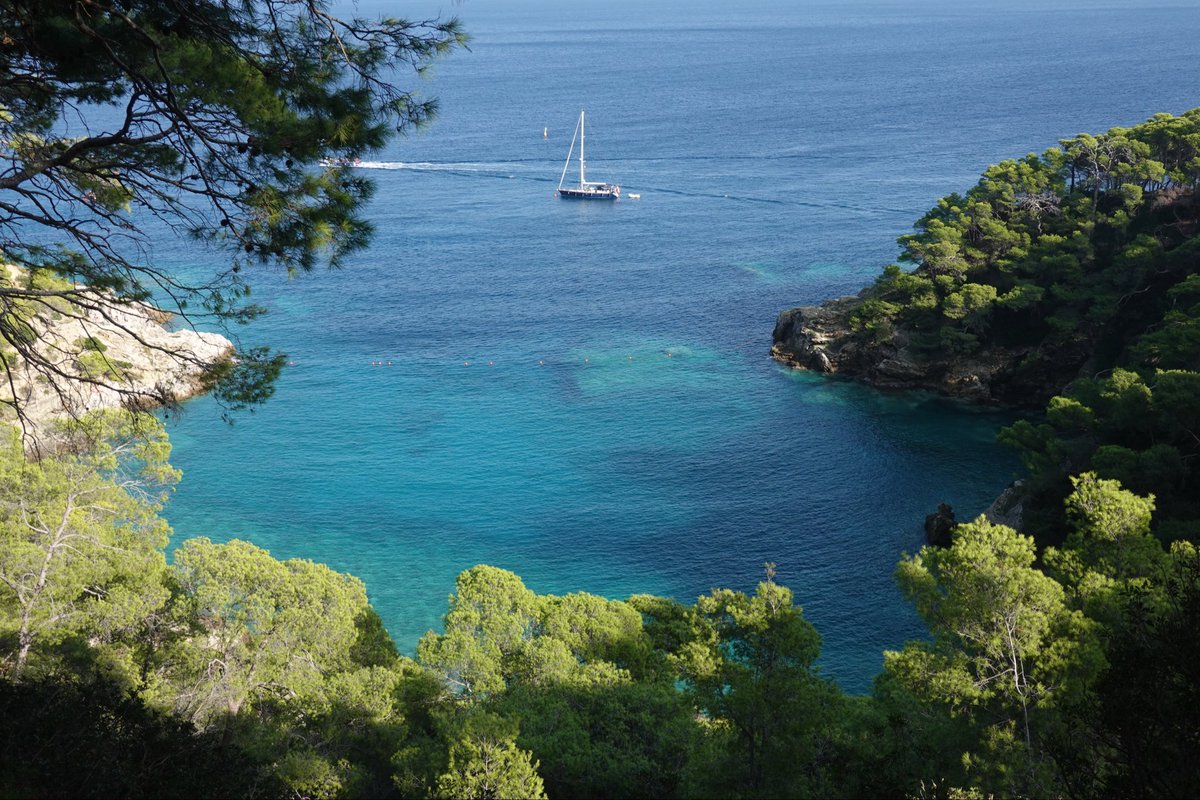 Giorgio Tassi tweet media