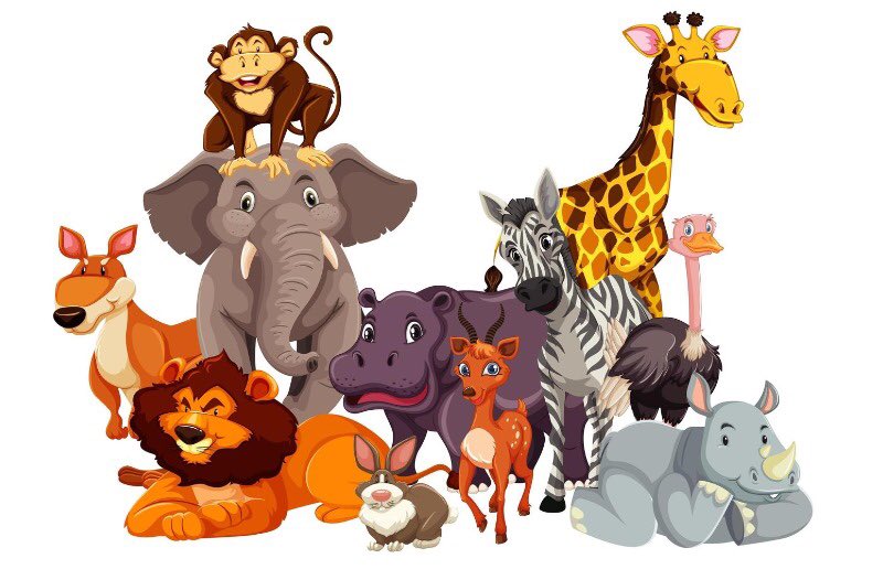 PCUninorte's tweet photo. ¡Hoy 4 de octubre es el día mundial de los animales! ¿Sabías de esta celebración? ¡Conoce un poco más sobre esta fecha! https://t.co/H27JaQcZ5H