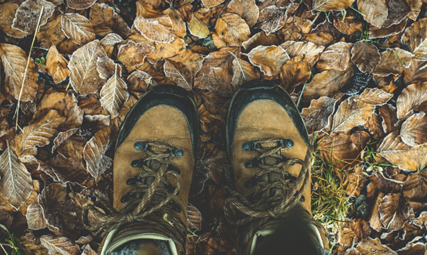 Ontdek de trage wegen van Pervijze, Beerst en Vladslo dlvr.it/Sx0wZ6