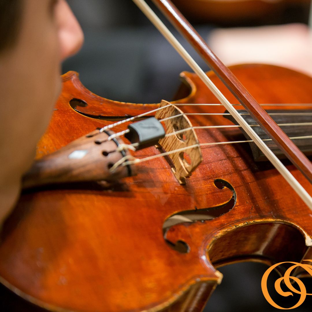 Mercury Chamber Orchestra tweet media