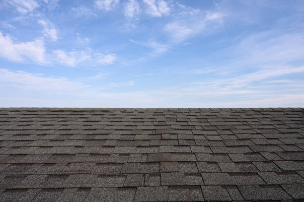 Fill in the Blank: The biggest concern I have with my roof right now is _________________________.