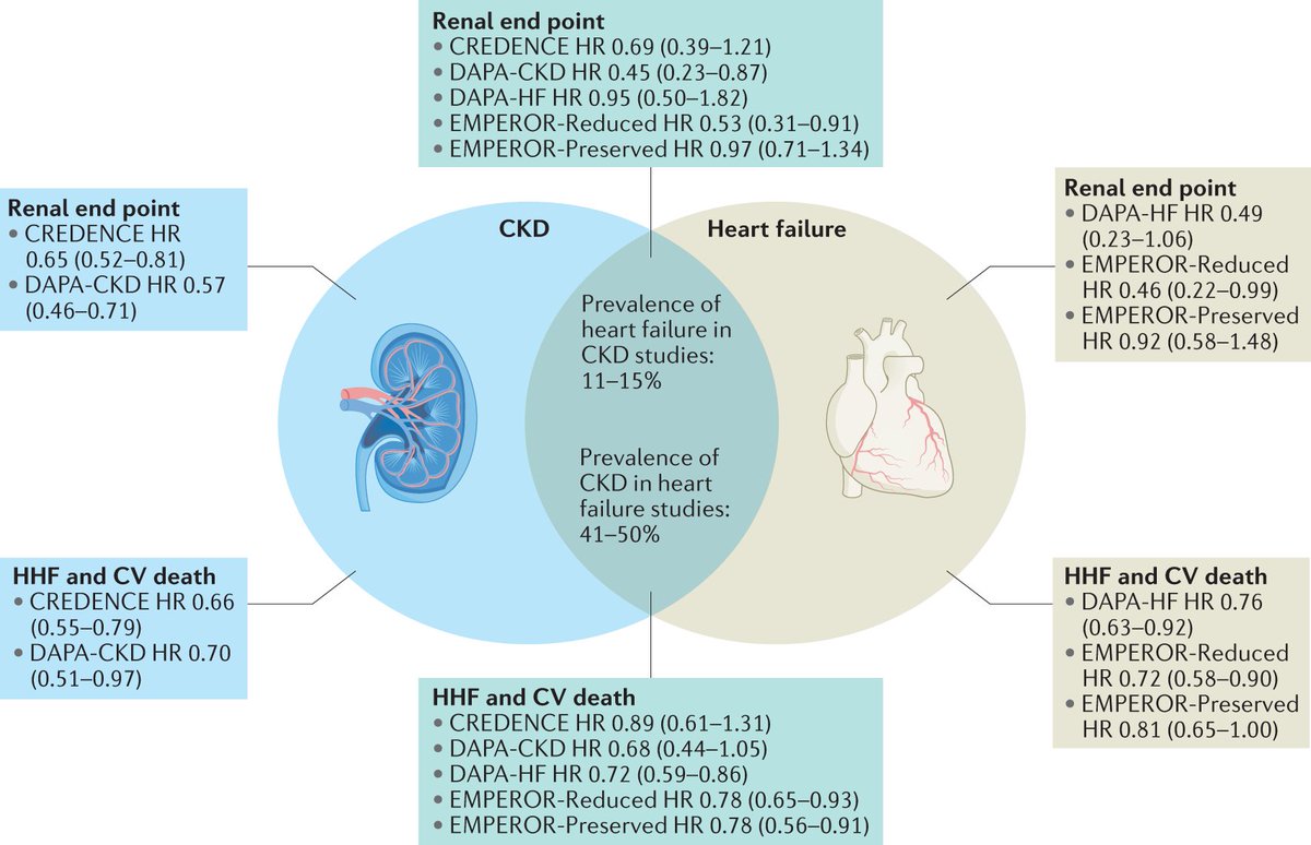 Nature Reviews Nephrology tweet media