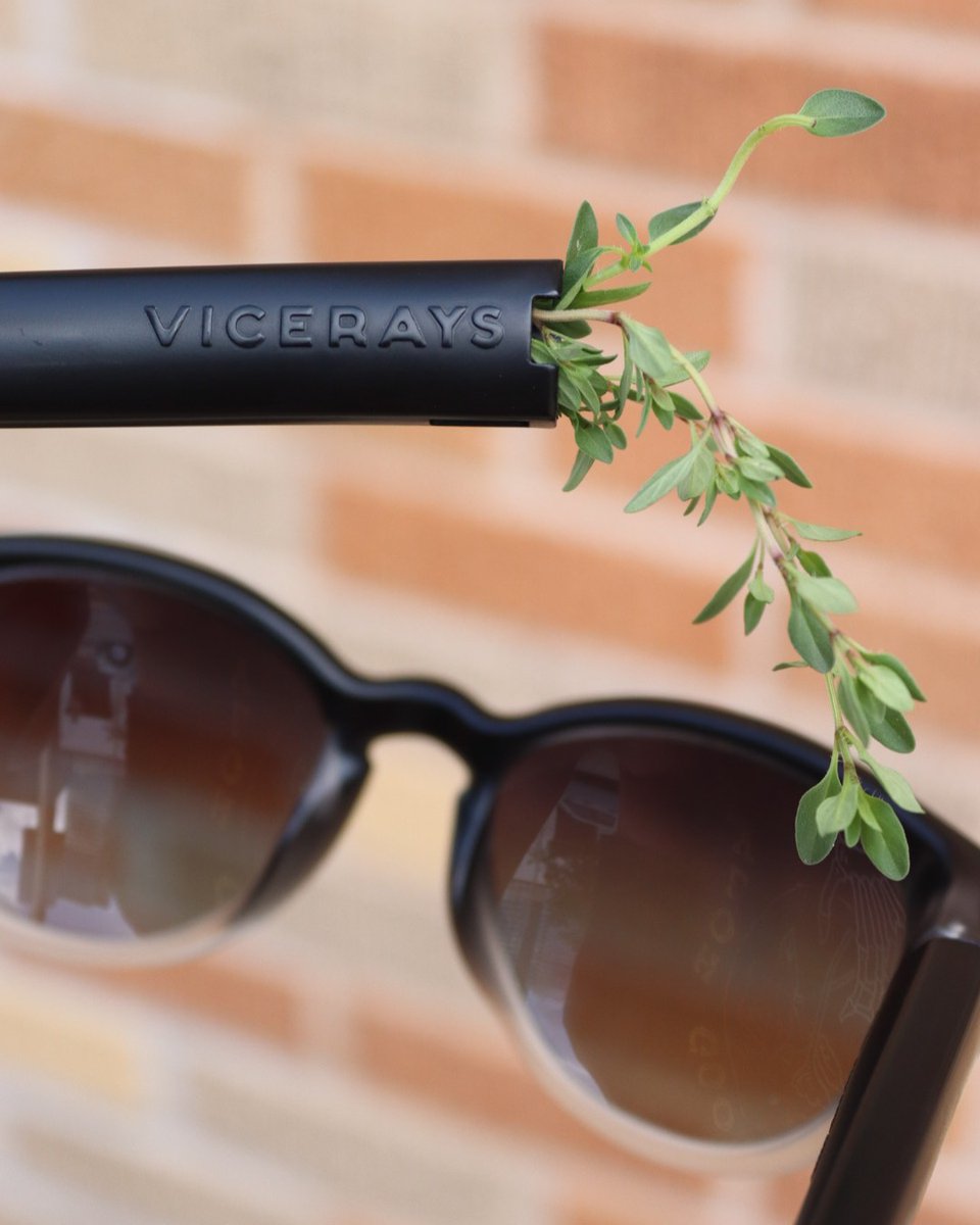 Always keep your herb safe 🌿 #vicerays