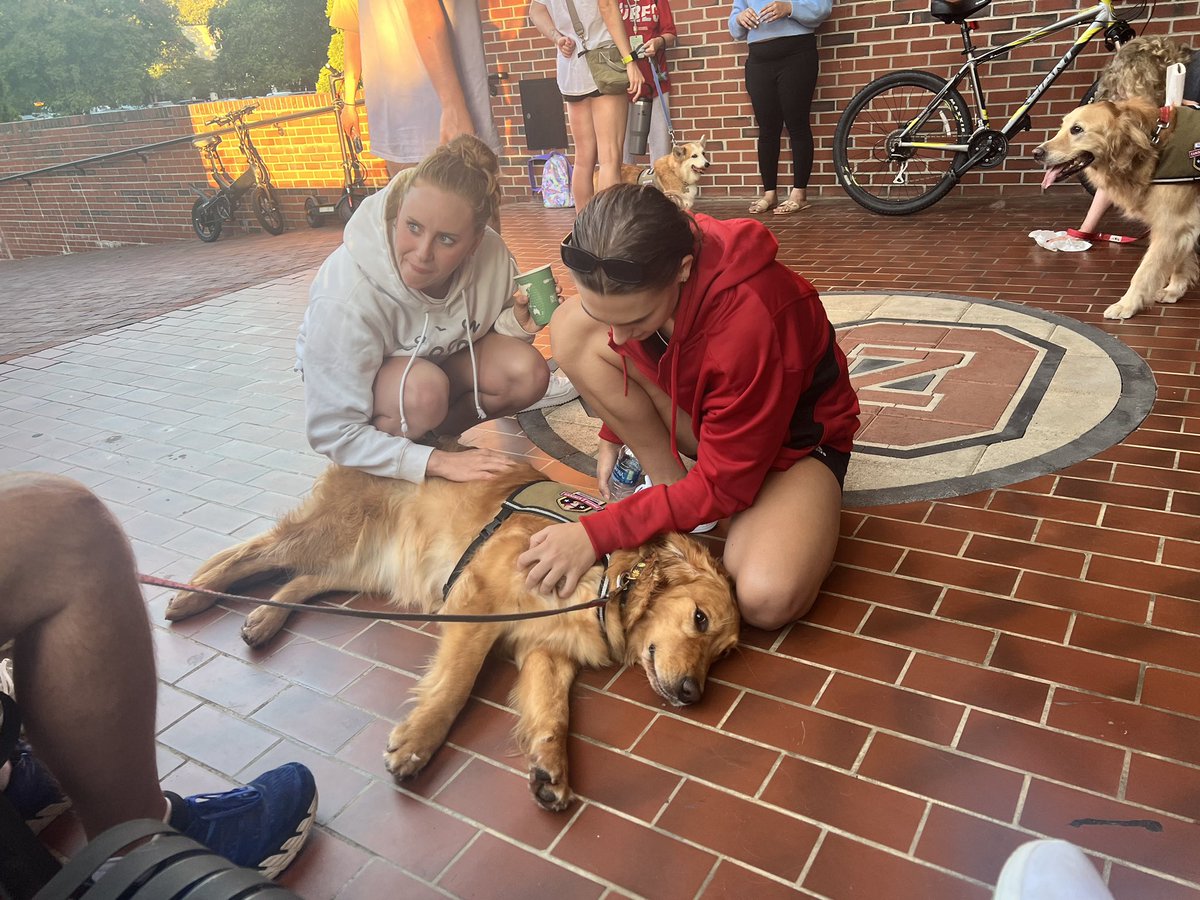 NC State SAE tweet media