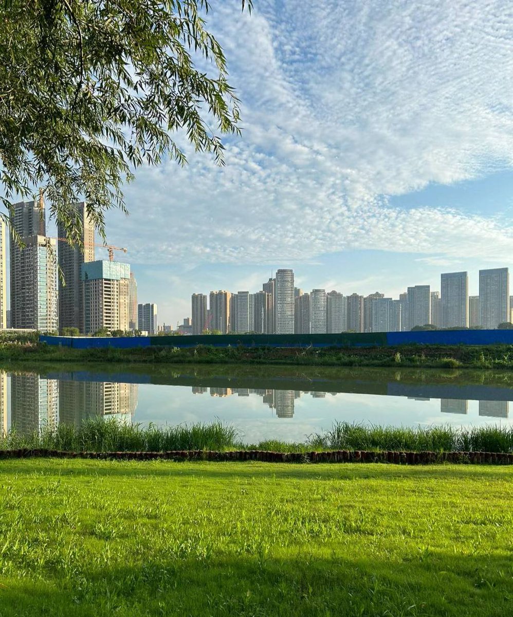 I like the morning breeze, it seems like everything can start again. Good morning!