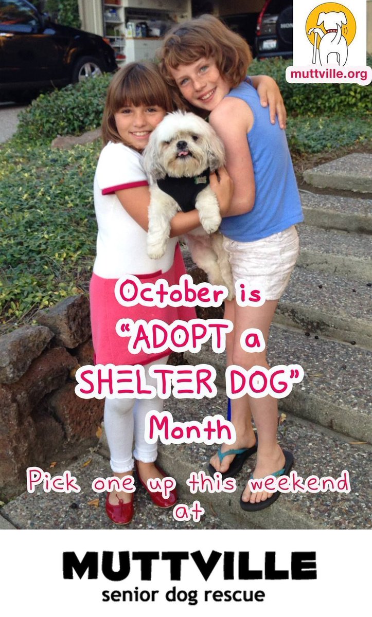 Oliver was SO HAPPY to be #adopted by the McFarland family, just look at that face! Be sure to #ADOPT a #dog during this #Dogtober #AdoptAShelterDogMonth! From us, buff.ly/3pNyI61 or any #rescue near you! 🐾 
Visit Muttville Saturday, 11-2 for our #openhouse!