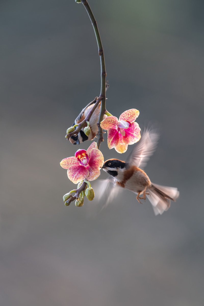 LorraineBeef's tweet photo. Live a life of warmth and kindness, never giving up love and freedom. https://t.co/fOemgV7BBh