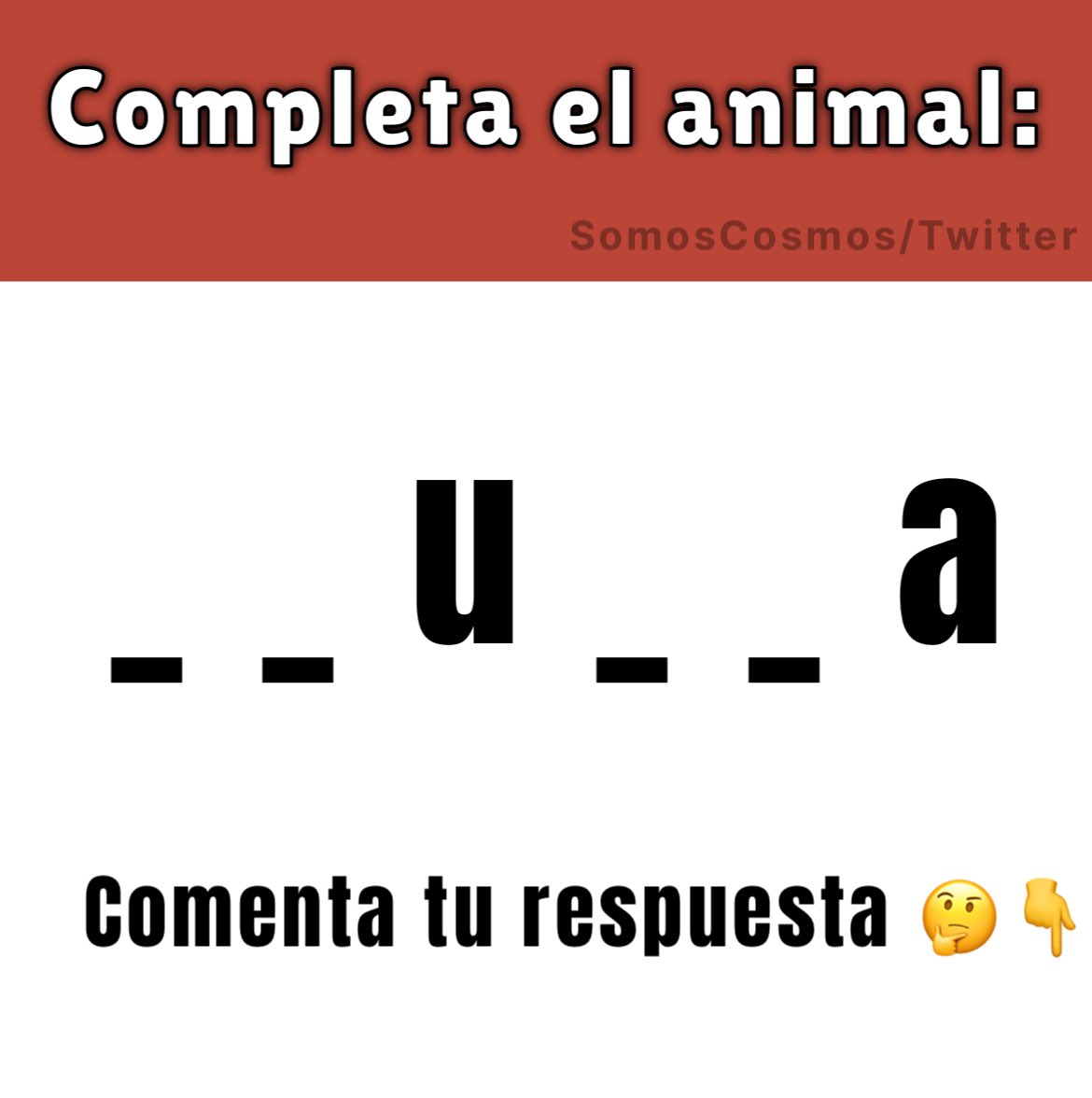 Informa Cosmos tweet media