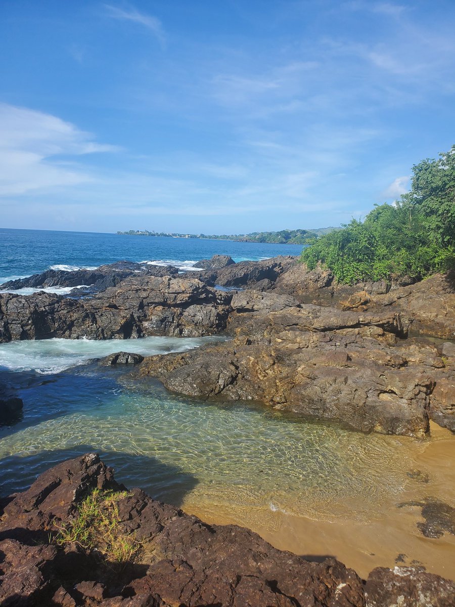 Curdean1's tweet photo. Favorite beach in #Tobago backbay❤️ https://t.co/wsf23wSqoj