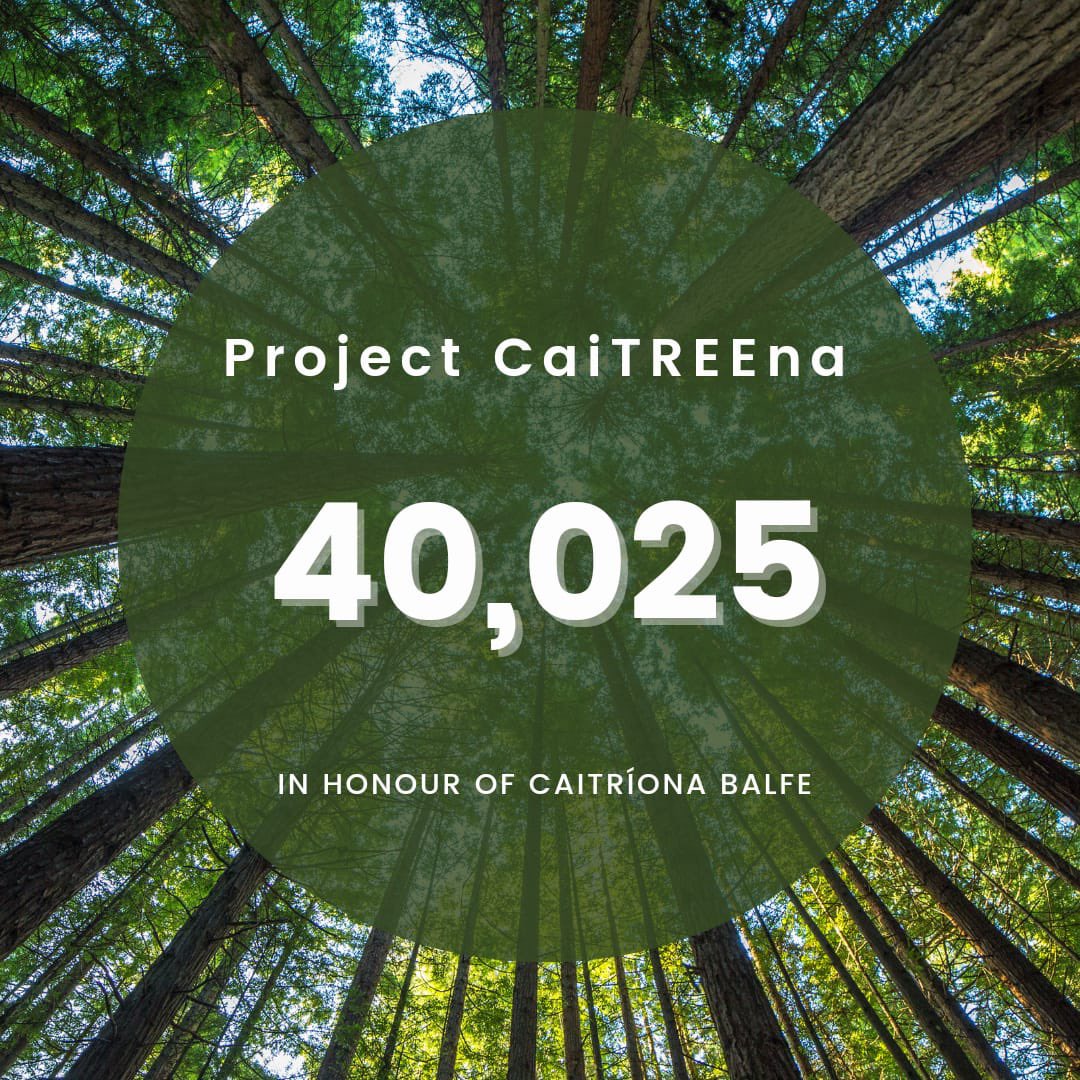 projcaitreena's tweet photo. Happy Birthday to you @caitrionambalfe A beautiful person inside and out 🎉🥳

Your wonderful fans have grown your Balforest by 40,025 🌳’s

Bringing the 4 year GRAND TOTAL to 195,528🌳’s 

Thank you for your philanthropic spirit &amp; &amp; for caring about our 🌍 &amp; the people in it 💚 https://t.co/XEbtEUMYv5