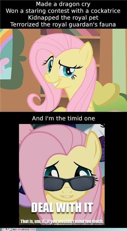 Hilarious Mlp Memes