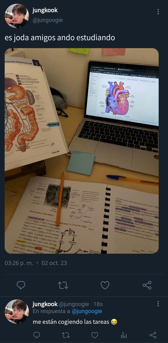 luli aus tweet media