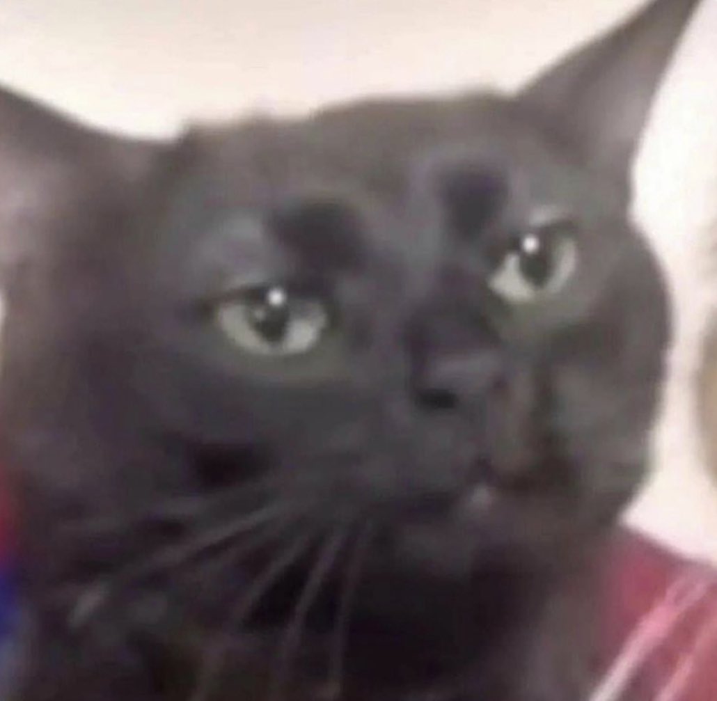 fabimsilva08's tweet photo. entendam: todo o meme que existe com esse gatinho aqui eu vou postar. https://t.co/e3Pxle1Aok