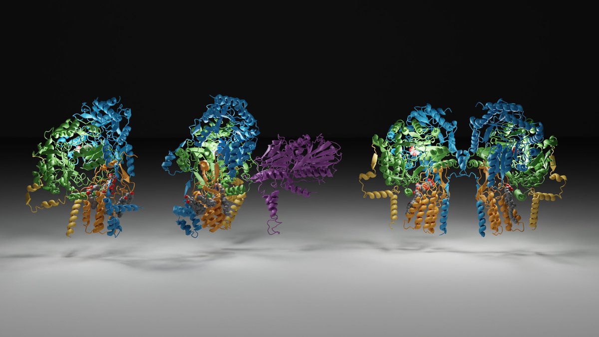 Jan-Hannes Schäfer (@jhschaef) on Twitter photo Our paper on "Structure of the ceramide-bound SPOTS complex" is now out in <a href="/NatureComms/">Nature Communications</a> - Fantastic teamwork with co-first Carolin Körner from @FlorianFrhlich3 nature.com/articles/s4146… <a href="/MoellerGroup/">Arne Moeller</a> #CryoEM #UOS 🔬❄️ Our paper on "Structure of the ceramide-bound SPOTS complex" is now out in <a href="/NatureComms/">Nature Communications</a> - Fantastic teamwork with co-first Carolin Körner from @FlorianFrhlich3 nature.com/articles/s4146… <a href="/MoellerGroup/">Arne Moeller</a> #CryoEM #UOS 🔬❄️