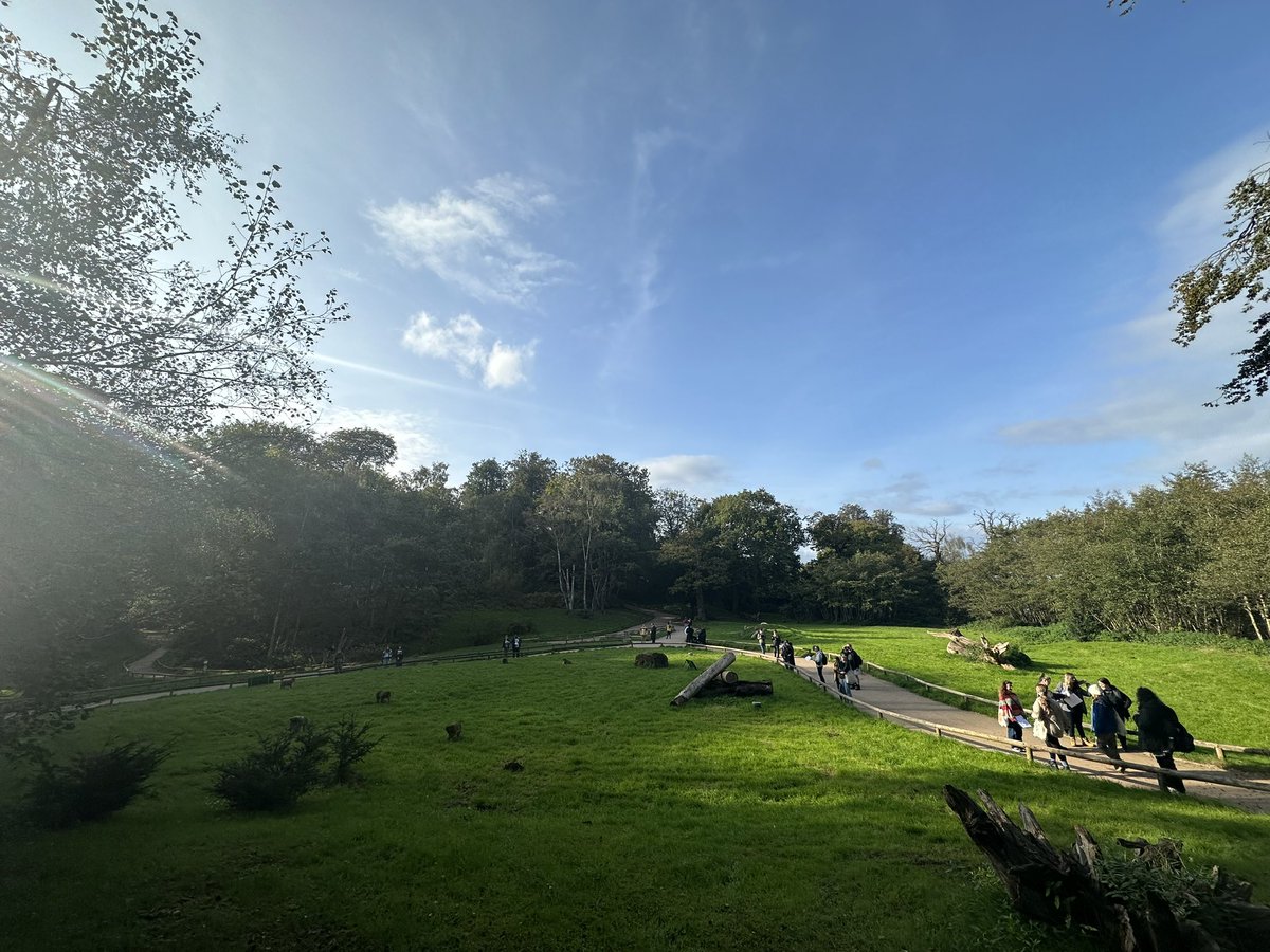 BangorPrimates's tweet photo. Another great and almost entirely non-rainy day at @Monkey_Forest with our Intro to Primatology students from @BangorSNS @BangorBioZoo, learning about focal animal sampling and collecting data on the lovely Barbary macaques! https://t.co/bFl1gG8NVV