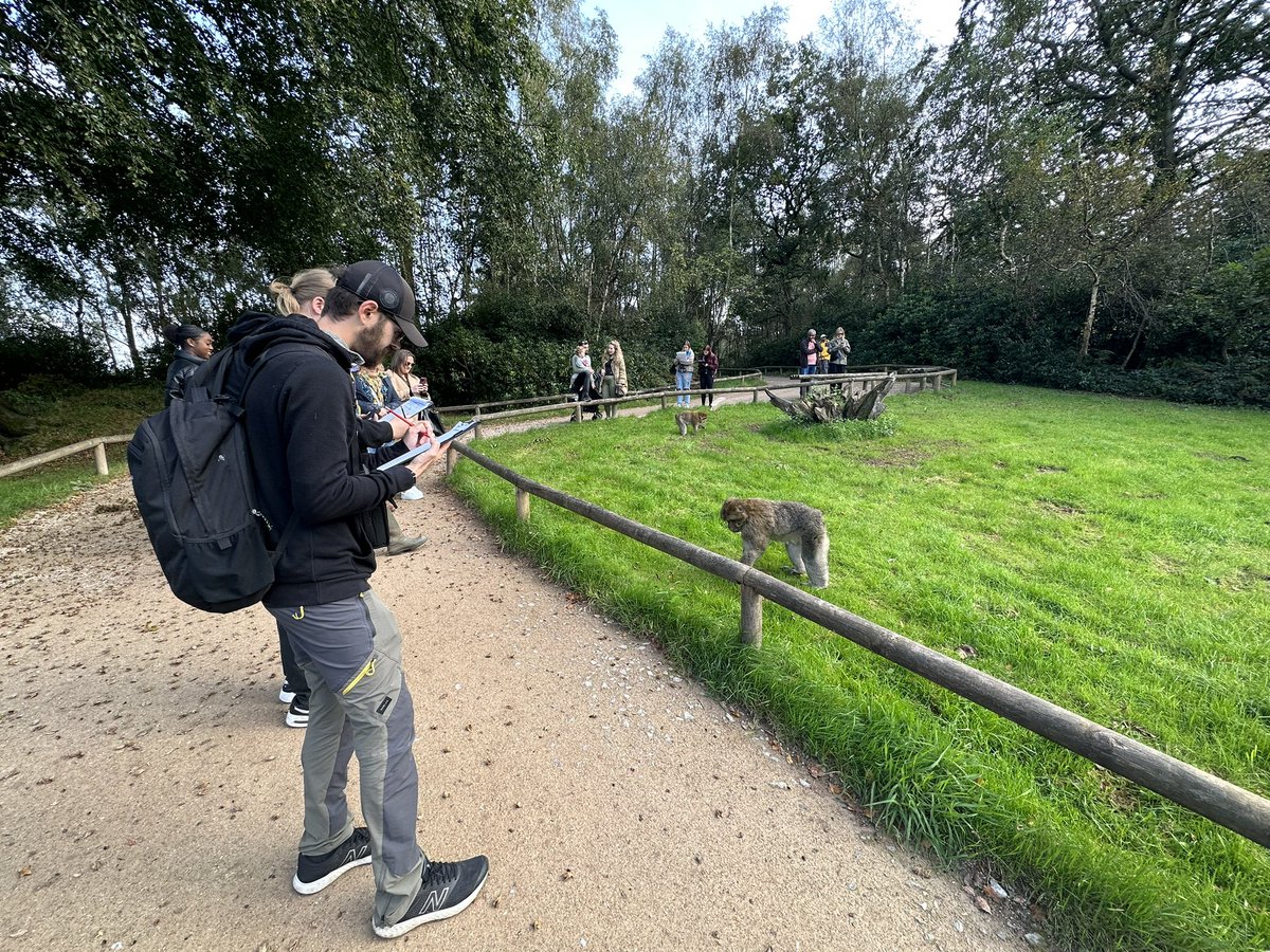 BangorPrimates's tweet photo. Another great and almost entirely non-rainy day at @Monkey_Forest with our Intro to Primatology students from @BangorSNS @BangorBioZoo, learning about focal animal sampling and collecting data on the lovely Barbary macaques! https://t.co/bFl1gG8NVV