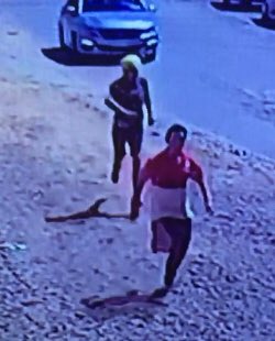 MiMelipilla's tweet photo. Otras imágenes, para hacerlos famosos en #melipilla y alrededores. Se escondieron en una vivienda de la calle Arturo Perez Pob. Padre Demetrio. @munimelipilla @Carabdechile @portaldemeli @MelipillaMejor https://t.co/UldMysUW7A
