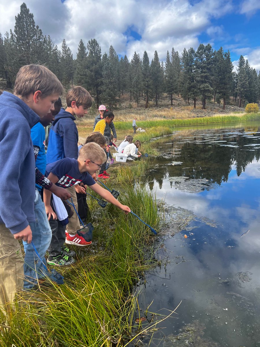 🌲🚌 The Gr4 Young Explorers' adventure at Grizzly Creek. 🐸
This week was filled with exciting nature activities for our students, from tracking paw prints and catching frogs to building geodomes. You won't take a wild guess if you think they had a lot of fun! 🐾