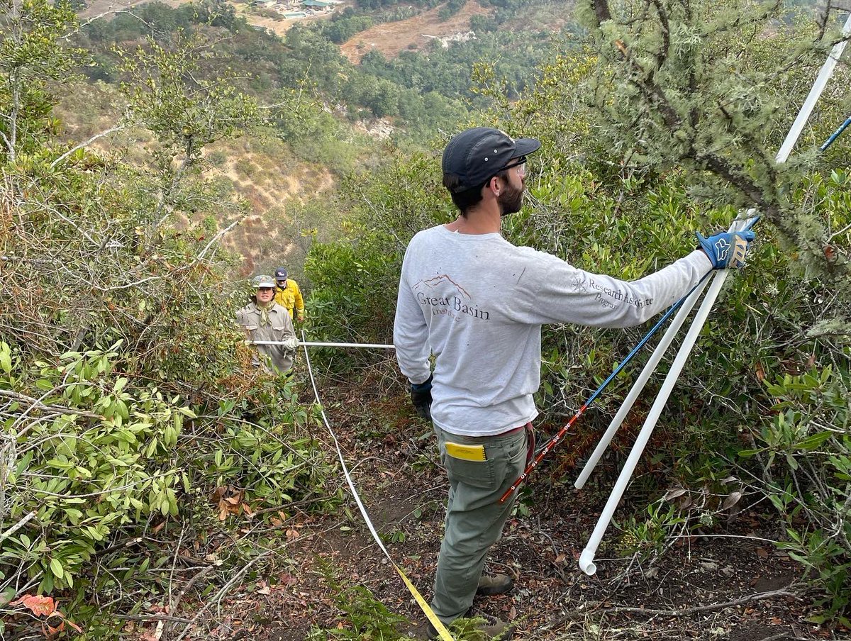 CALFIRE_SLO's tweet image. @calfire_slo working with  California Polytechnic State University Department of Natural Resources and Environmental Science Masters students to conduct vegetation monitoring for prescribed fires. This will help better understand vegetation dynamics before and after projects.